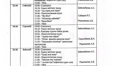 Мектеп жанындағы жазғы лагерь 